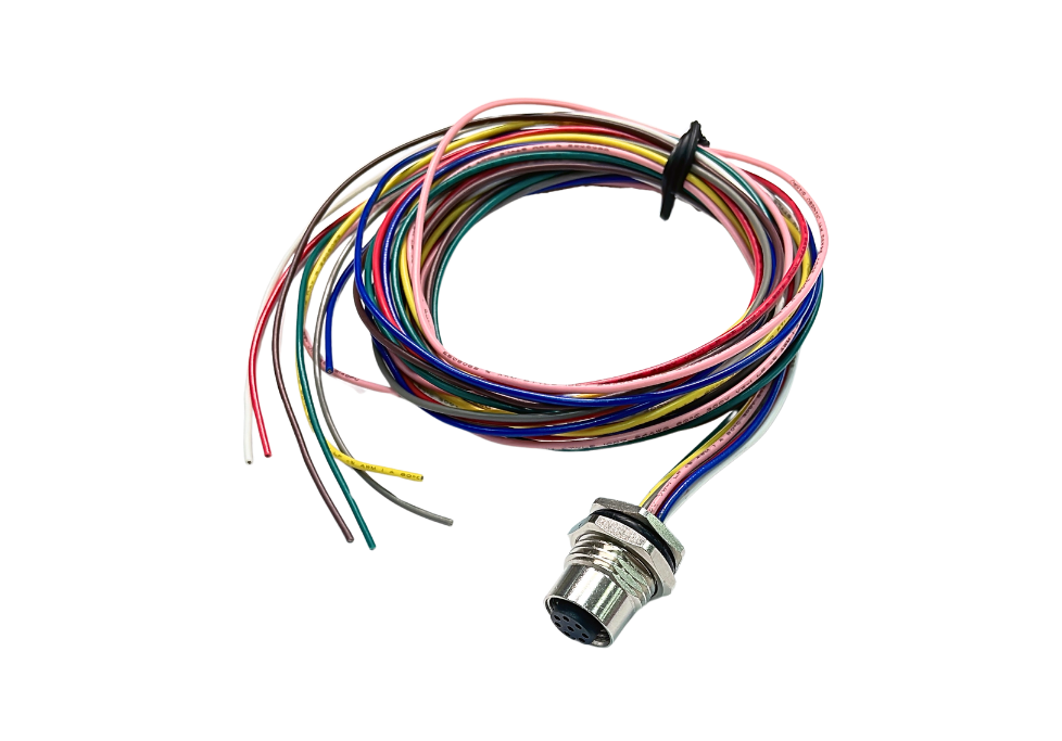 M12 Cable Assembly